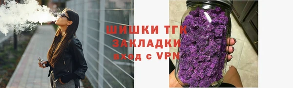 дмт Дмитров