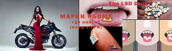 дмт Дмитров