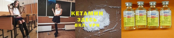 мет Дмитриев