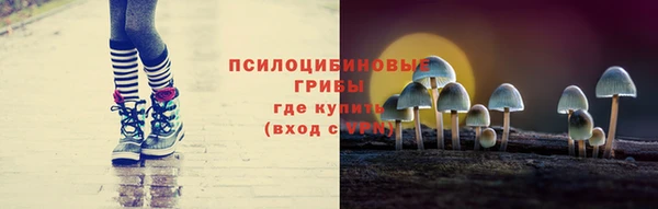 МДПВ Дмитровск