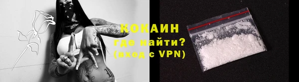 дмт Дмитров
