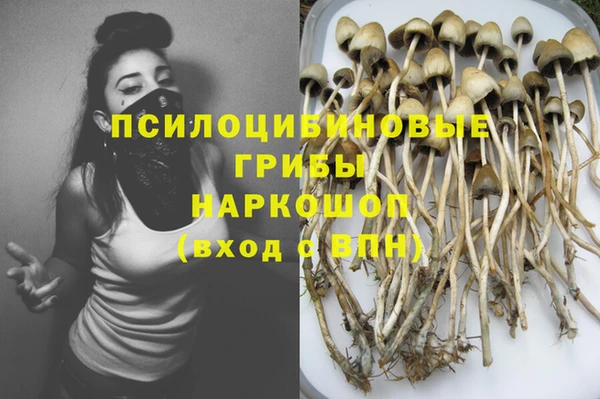 мет Дмитриев