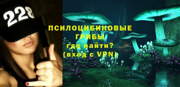 дмт Дмитров