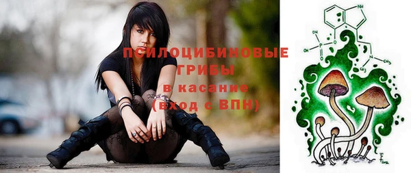 дмт Дмитров